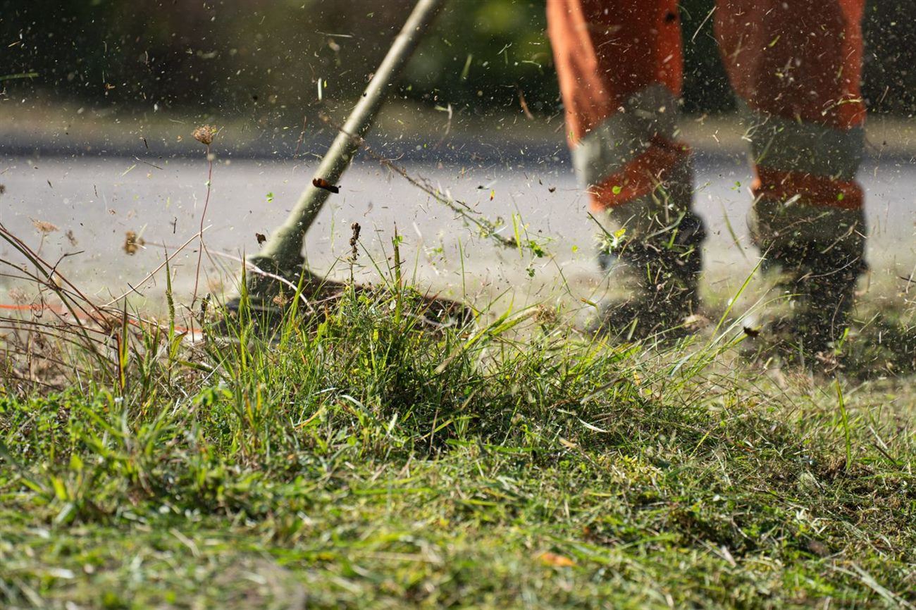 Espaces verts et abords paysagers d'une copropriété entretenus par ALS Services